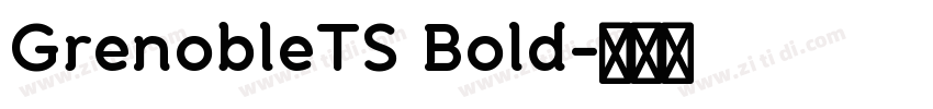 GrenobleTS Bold字体转换